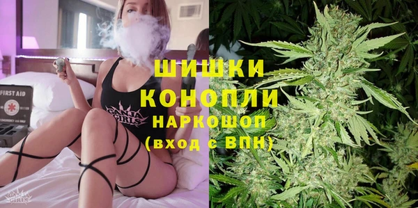 ПСИЛОЦИБИНОВЫЕ ГРИБЫ Бородино