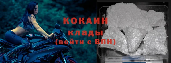 гидра Бронницы