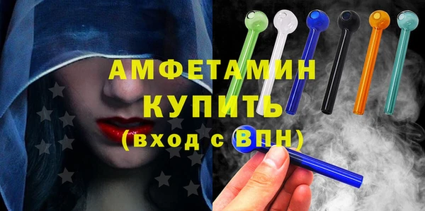 молекула духа Богданович