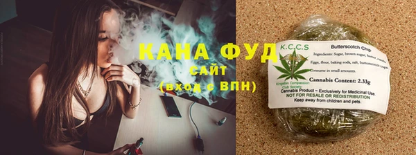 гидра Бронницы
