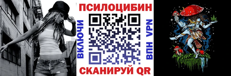 купить   Микунь  Псилоцибиновые грибы Psilocybe 